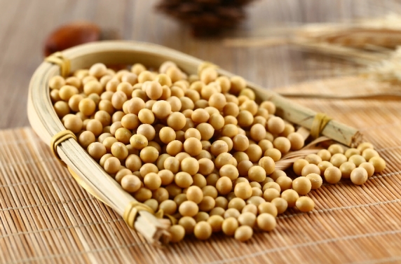 powder soy lecithin.png